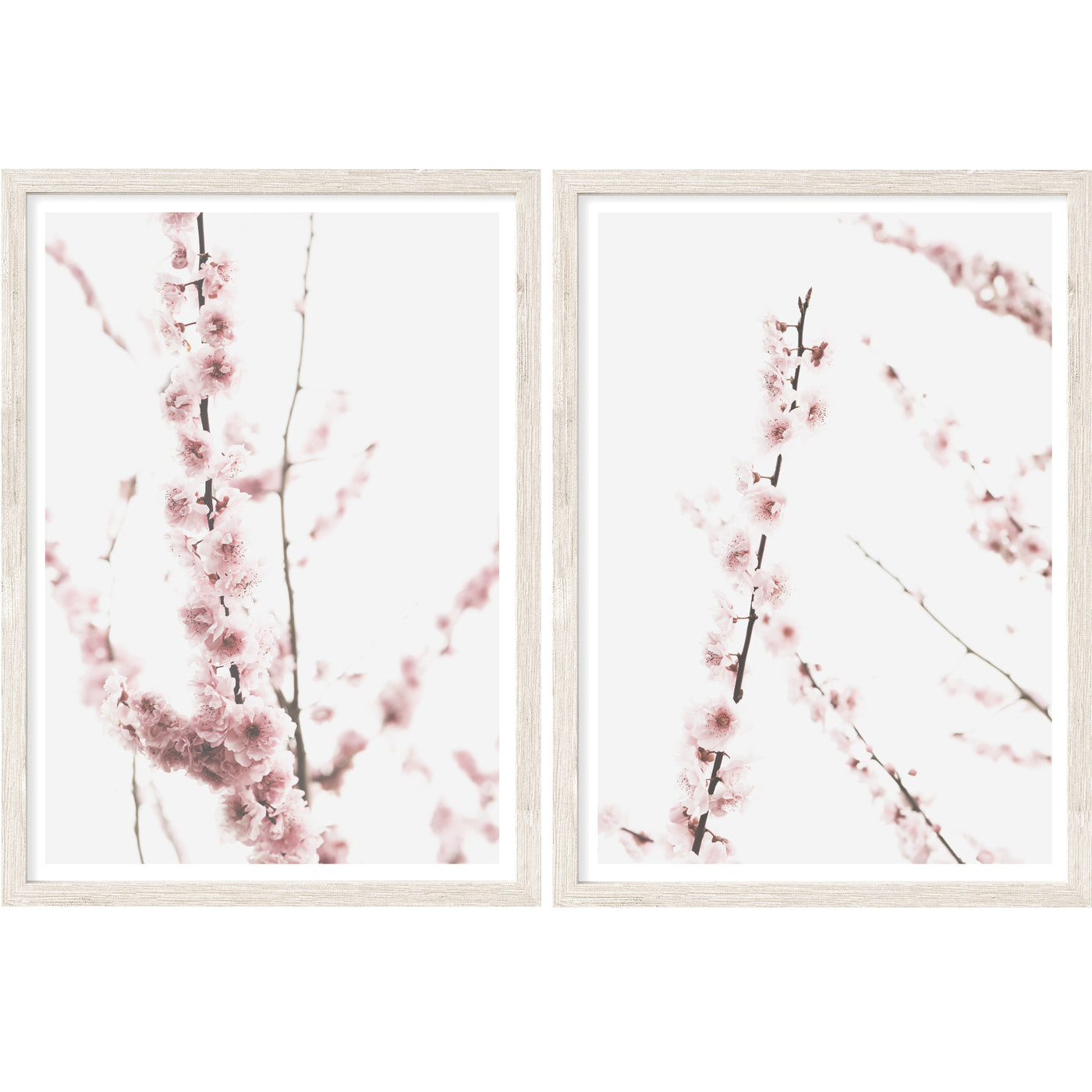 Cherry Blossom - Set of 2