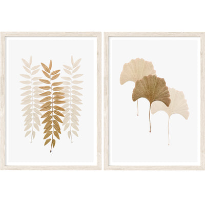 Acacia and Ginkgo Leaves Set of 2