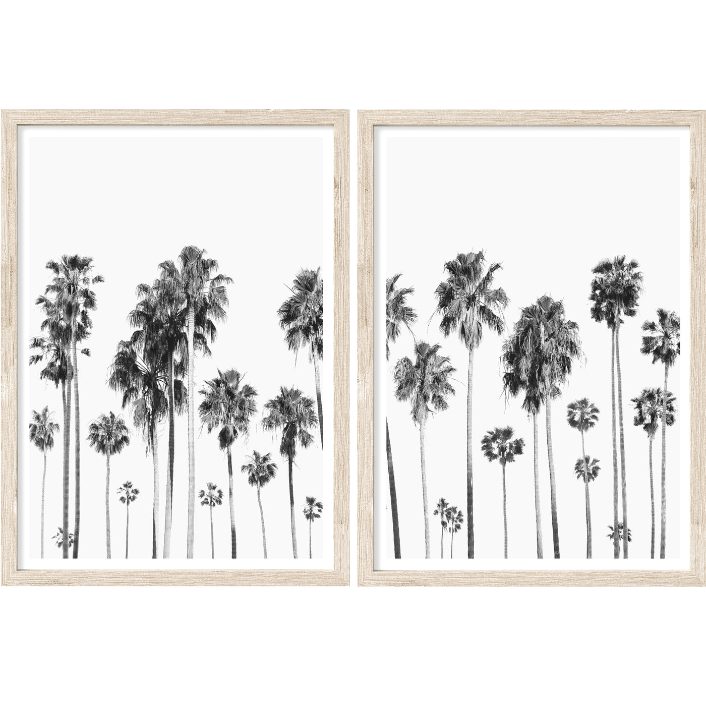 California Palms Set of 2