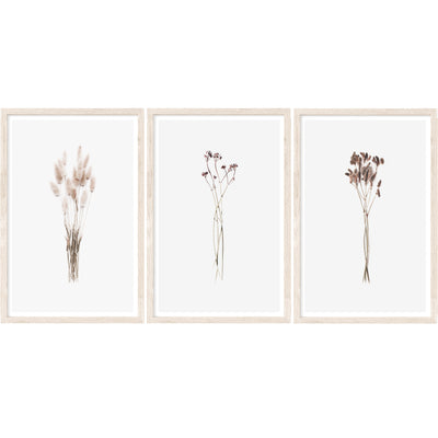 botanical wall art, set of 3 prints, minimlaist decor | arrtopia