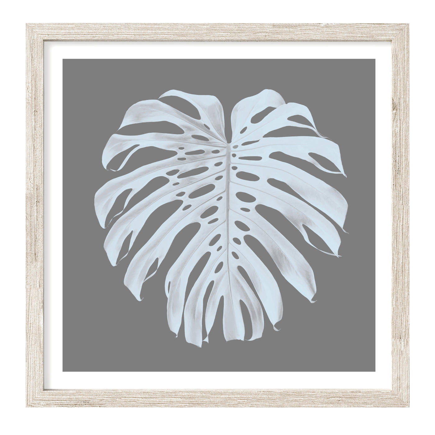 Monstera Leaf