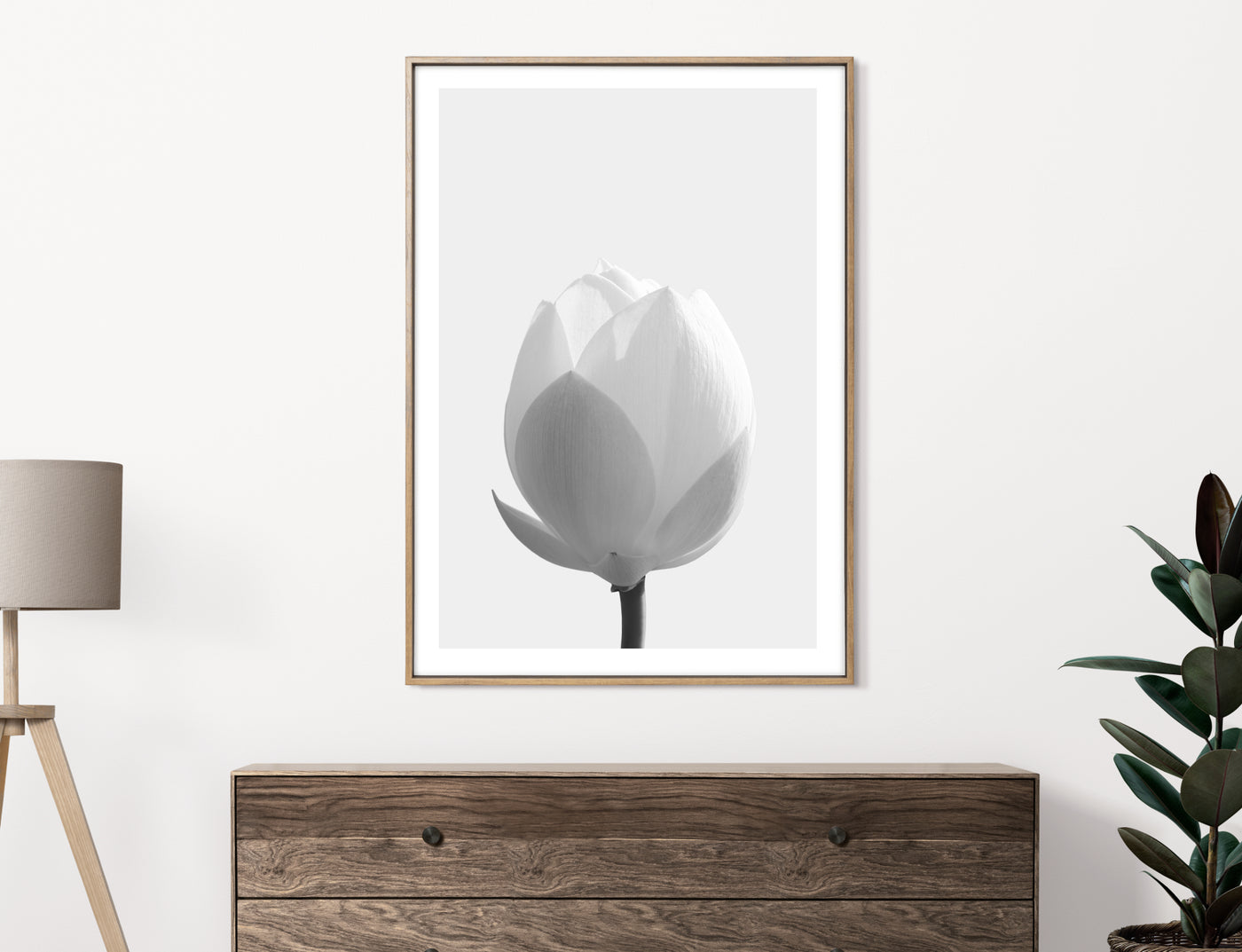 ARRTOPIA Black and White Lotus Flower Photography Art Print in Modern Living Room