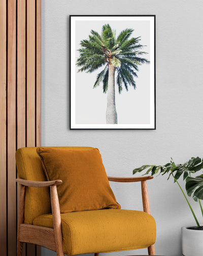 palm wall art, palm tree poster | arrtopia
