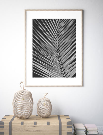large black and white palm wall art print for living room | arrtopia